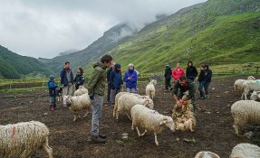 SEBASTIEN CARLIER 01684