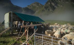 SEBASTIEN CARLIER 06358