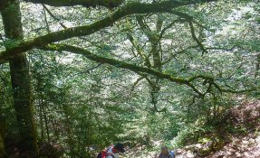 SEBASTIEN CARLIER 0149