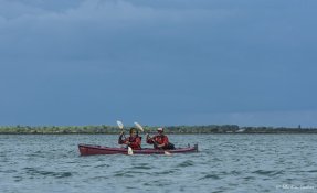 stage kayak de mer ile de ré 2016 01968