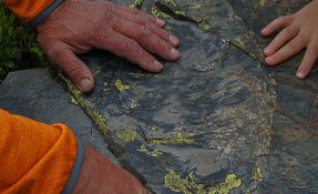 SEBASTIEN CARLIER 01857