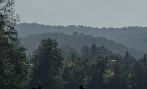 Vezere SEBASTIEN CARLIER 05137