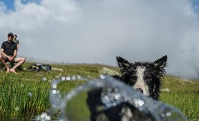 SEBASTIEN CARLIER 02094