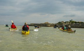 stage kayak de mer ile de ré 2016 02113