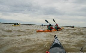 Estuaire iti pa 2016 2 2 resized