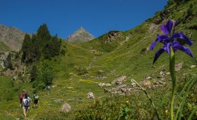 SEBASTIEN CARLIER 06550