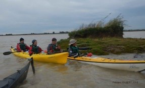 2016oct23 EstuaireVerrou FredGILBERT05 phatch