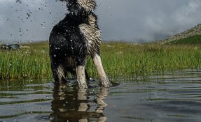 SEBASTIEN CARLIER 02102