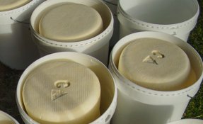 SEBASTIEN CARLIER 06220