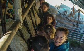 SEBASTIEN CARLIER 06539