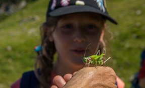 SEBASTIEN CARLIER 06415