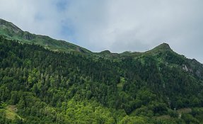 SEBASTIEN CARLIER 01694