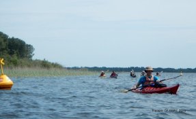 10 LacsMédocains 21 22Mai2016 FredGILBERT resized phatch