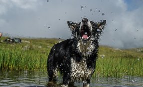 SEBASTIEN CARLIER 02085