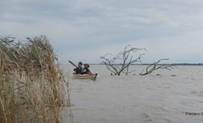 2016oct23 EstuaireVerrou FredGILBERT06 phatch