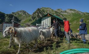 SEBASTIEN CARLIER 01762