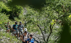 SEBASTIEN CARLIER 02144