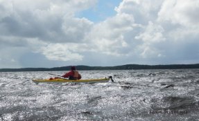 58 LacsMédocains 21 22Mai2016 FredGILBERT resized phatch