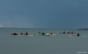 stage kayak de mer ile de ré 2016 01945