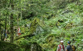 SEBASTIEN CARLIER 02146