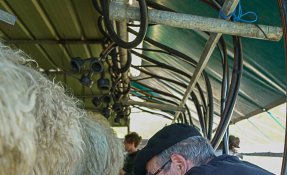 SEBASTIEN CARLIER 01970