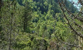 SEBASTIEN CARLIER 01942