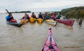 2016oct23 EstuaireVerrou FredGILBERT24 phatch