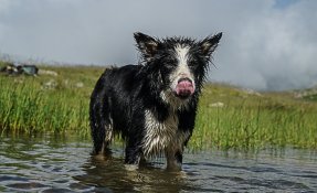 SEBASTIEN CARLIER 02087