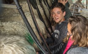 SEBASTIEN CARLIER 06354