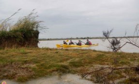 2016oct23 EstuaireVerrou FredGILBERT04 phatch