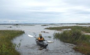 41 LacsMédocains 21 22Mai2016 FredGILBERT resized phatch