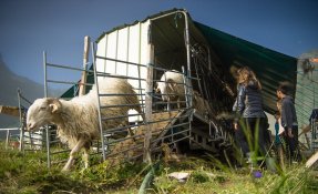 SEBASTIEN CARLIER 06350