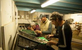 stage kayak de mer ile de ré 2016 01996