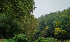 Vezere SEBASTIEN CARLIER 05078