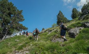 SEBASTIEN CARLIER 02037