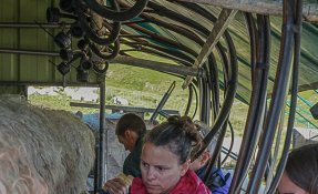 SEBASTIEN CARLIER 01764