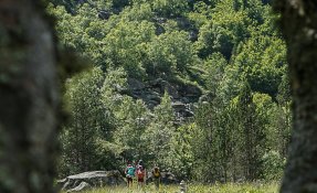 SEBASTIEN CARLIER 01946