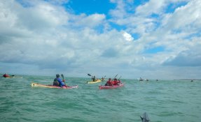 stage kayak de mer ile de ré 2016 0351