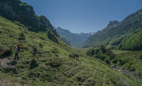 SEBASTIEN CARLIER 02139