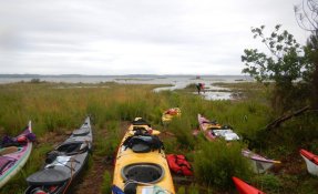 37 LacsMédocains 21 22Mai2016 FredGILBERT resized phatch