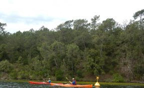 12 LacsMédocains 21 22Mai2016 FredGILBERT resized phatch