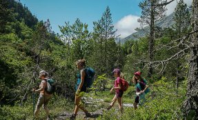 SEBASTIEN CARLIER 01943