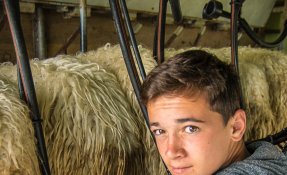 SEBASTIEN CARLIER 06346