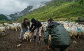 SEBASTIEN CARLIER 01685