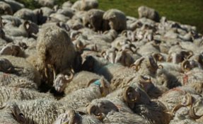 SEBASTIEN CARLIER 01997