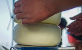 SEBASTIEN CARLIER 06231