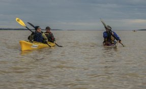 Estuaire iti pa 2016 14 2 resized