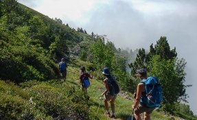 SEBASTIEN CARLIER 0115