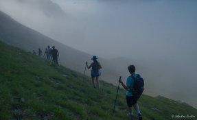 SEBASTIEN CARLIER 06482